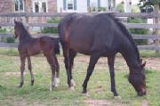 copyofwarrickandbaby3.jpg